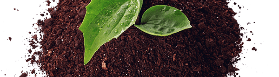 Biochar technologies at the Water Energy Food nexus in African: a unique window for climate-smart agriculture
