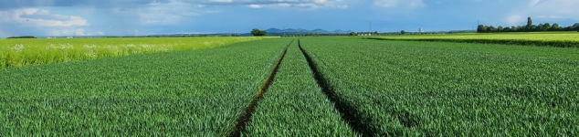 Fossilfreie Landwirtschaft – Utopie oder erstrebenswertes Ziel?